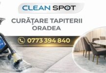 CleanSpot Oradea – Curățare Canapele și Detailing Auto Oradea – Igienizare Profesională la Domiciliu